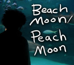 Beach Moon/Peach Moon