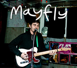 Mayfly